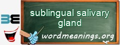 WordMeaning blackboard for sublingual salivary gland